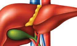 कलेजो डिटक्सिफाई