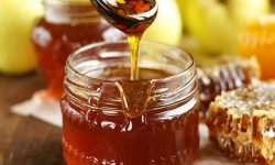 झापामा मह प्रशोधन उद्योग सञ्चालनमा