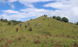आन्तरिक पर्यटकको रोजाइमा मैस्याङटार