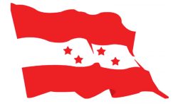 कांग्रेसको केन्द्रीय समिति बैठक : आजपनि सदस्यहरूले धारणा राख्ने