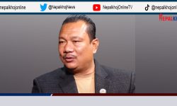 ‘संघीय कर्मचारी कानुनलाई राजनीतिले बिथोल्छ’