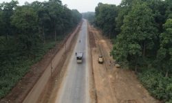 नारायणघाट-बुटवल सडकमा वन्यजन्तुका लागि ३५ ‘अन्डरपास’