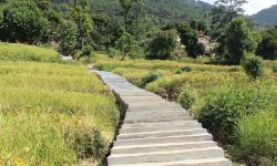 पदयात्रा गर्न पाउँदा खुसी हुन्छन् पर्यटक