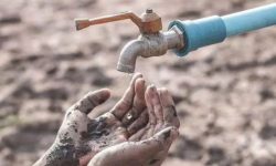 पानीको अभावलका कारण हाँसीपुरले दुई ठाउँमा सर्नुपर्ने बाध्यता