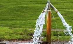 विश्वव्यापी पानी सङ्कट : वर्षात्को पानी सदुपयोग गर्ने वैज्ञानिक उपायको खोजी