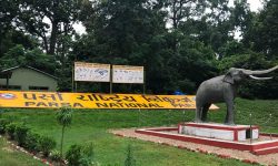 पर्यटकीय आकर्षणको केन्द्र पर्सा राष्ट्रिय निकुञ्ज