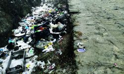 पाथीभरा पदमार्ग : ‘डस्टबिन’ रित्तो, आसपासमा फोहरको थुप्रो