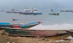 फेवाताल किनारका पुराना डुङ्गा व्यवस्थापन गर्न थालियो