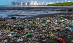 समुन्द्रमा १७१ ट्रिलियन (नील) प्लास्टिकका टुक्रा