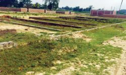 सरकारले खुला गर्‍याे जग्गाको कित्ताकाट