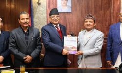 प्रधानमन्त्रीसमक्ष युवा परिषद्को वार्षिक प्रतिवेदन पेस