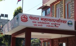 पोखरा महानगरमा जिम्मेवारी बाँडफाँड