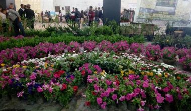 पुष्प मेलामा ८४ लाखको कारोबार