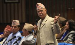 राष्ट्रपतिको सल्लाहकार प्रधानमन्त्री र मन्त्रिपरिषद् हो- नेता पन्त