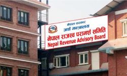 राजस्व परामर्श समितिले थाल्यो काम