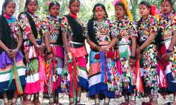 दीर्घायुका लागि राना समुदायको ‘खखडेहरा पर्व’