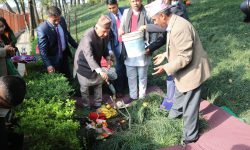 वनकाली  पुगेर राष्ट्रपति पौडेलले गरे वृक्षारोपण