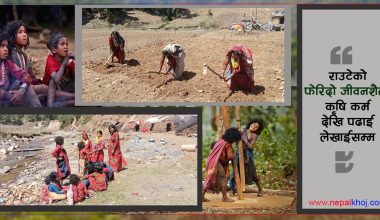 राउटेको फेरिदो जीवनशैली : कृषि कर्म देखि पढाई लेखाईसम्म