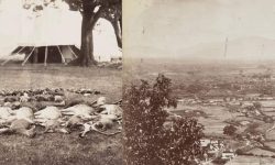 एक सिकारीको कथा