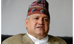 राष्ट्रपतिको राजनीतिक सल्लाहकारमा थापा नियुक्त