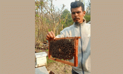 मौरीपालनबाट मनग्य आम्दानी गर्दै वाग्ले