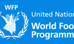 चामलसहितका कन्टेनर एक महिनादेखि भन्सारमै