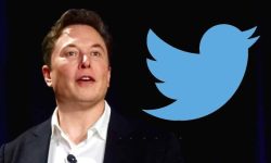 एलोन मस्कले फेरि गरे ट्विटरको लोगो परिवर्तन : कुकुरको ठाउँमा नीलो चरा फर्कियो