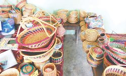 परम्परागत सीपको संरक्षणसँगै आर्थिक आम्दानी