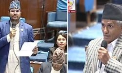 प्रतिनिधिसभा: ज्ञानेन्द्र शाहीको अभिव्यक्तिप्रति माओवादीको नियमापत्ति