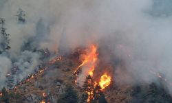 खोटाङमा डढेलोबाट २० लाख बढीको क्षति