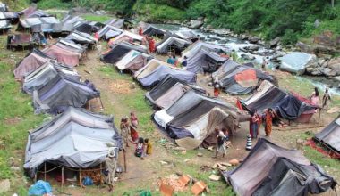 राउटे समुदायको व्यवस्थापन गर्न माग