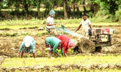 प्रविधिमा किसानको आकर्षण बढ्दो
