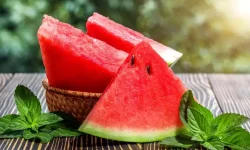 यी खानेकुरा हुन् गर्मीको शीतल उपहार