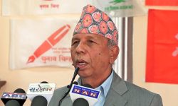 ७५ प्रतिशत मल आयात गर्न टेण्डर भइसकेको छ : मन्त्री डा. भुसाल