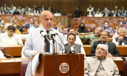 संविधान रक्षाको प्रस्ताव पारित