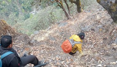 बाटोकै सास्ती