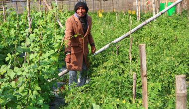 कर्मले बदलिएको नाम ‘तरकारी काका’