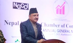 मौद्रिक र वित्तीय नीतिबीच सामञ्जस्य कायम गर्दै अघि बढ्ने अर्थमन्त्रीको योजना