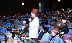 प्रतिनिधिसभा नियमावली मस्यौदा पारित