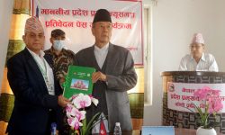 कोशी प्रदेश : महालेखापरीक्षकको प्रतिवेदन पेश