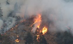 डढेलोले पारेको समस्या