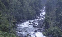 हाइड्रोपावर प्रभावित क्षेत्रको स्थलगत अनुगमन