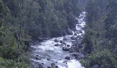 हाइड्रोपावर प्रभावित क्षेत्रको स्थलगत अनुगमन