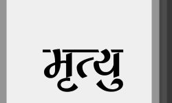 साथीले बोकेको बन्दुक पडकदा एकजनाको मृत्यु