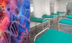 सात दिनसम्म आइसोलेशनमा बस्न आग्रह