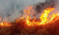 चुरेमा डढेलो, पानी अभावले निभाउन मुस्किल