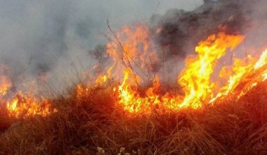 चुरेमा डढेलो, पानी अभावले निभाउन मुस्किल