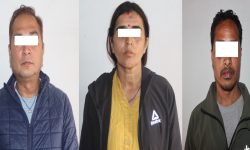 पोर्चुगल पठाइदिन्छु भन्दै रकम ठगी गर्ने तीन जना पक्राउ