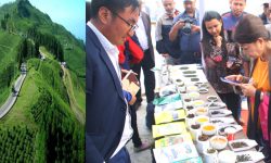 इलाममा टि टेस्टिङ, प्रतिकेजी १० हजार चिया बिक्री