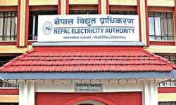 विद्युत् प्राधिकरणका कर्मचारीलाई लाग्यो चुनाव